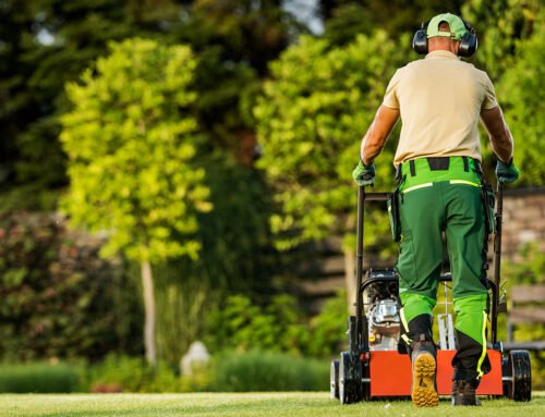 How to Prepare Your Houston Lawn for Summer Heat